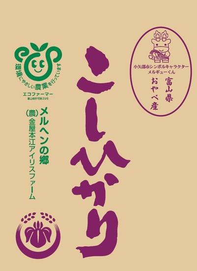 令和5年産こしひかり（玄米）30kg   　