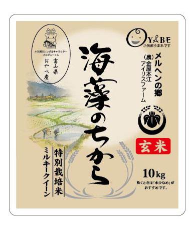 令和5年産海藻のちから（玄米）10kg　小矢部ブランド米　