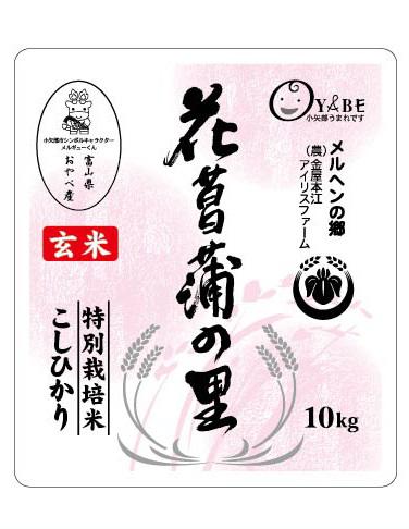 令和5年産花菖蒲の里（玄米）10kg　小矢部ブランド米　